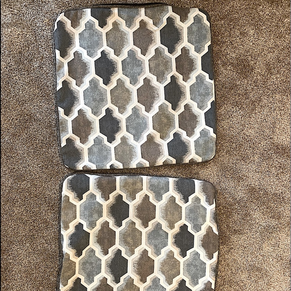 Decorative Pillow Covers (2)